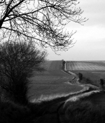 IMG_6596