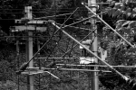IMG_7289