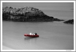 Copie de 20070522_0025a