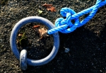 Copie-de-IMG_4223b