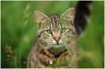 chat4-3