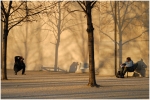 paris19