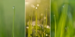 triptyque
