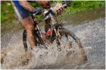 vtt5