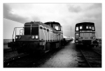 DSC_1527BW