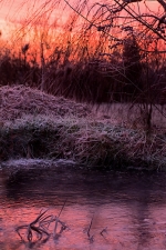 DSC_9480w4