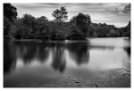 DSC_9548W4
