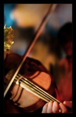 DSC_9588W3