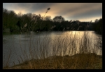 DSC_9845w3