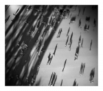 P3101252NB-2