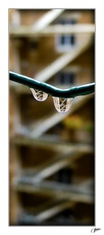 Apres-la-pluie