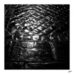 Apres-la-pluie1