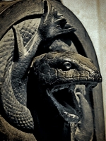 Bestiaire2