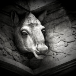 Bestiaire3