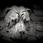 Bestiaire4