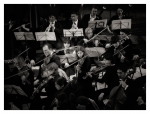Brahms4NB