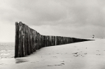 Cap-Ferret