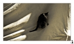 Chat-04-4
