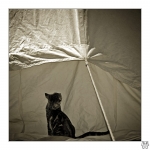 Chat-04-5