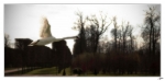 Cygnes2