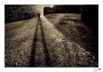 Dans-le-labyrinthe