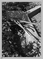 En-un-jardin
