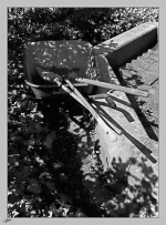 En-un-jardin2