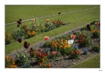 Garden-stripes