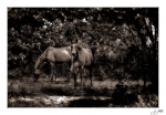 La-rencontre