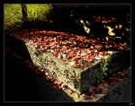 Lachaise1-copie