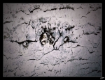 Lascaux1