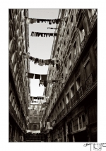Le-Panier