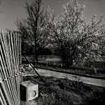 Le-chantier-du-Printemps2