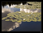 Le-lac-du-Merle-2