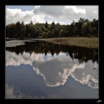 Le-lac-du-Merle-6