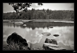 Le-lac-du-Merle-7