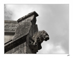 Le-lion-fleuri