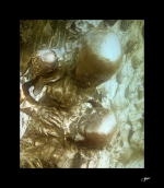Le-sommeil-de-l\'enfant