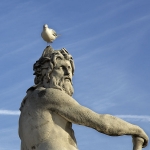 Mouette-et-statue