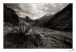 Paradis-terrestreNB