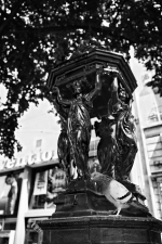 Paris-XV