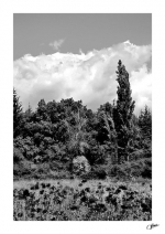 Paysage