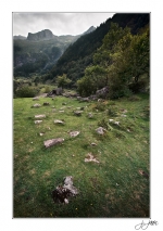 Prairie-de-cailloux