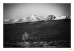 Pyrenees-Rieumes