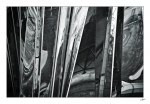 Reflet-moderne