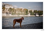 Rencontre-avec-Igor-