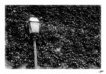 Reverber-Saint-Vicent