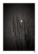 Soir-en-decembre
