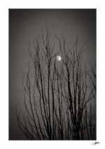 Soir-en-decembre2