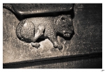 Stalle-3